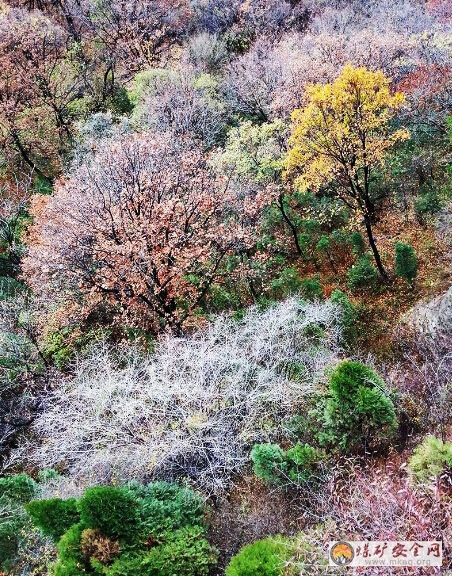 綿山 吳鵬程攝影作品