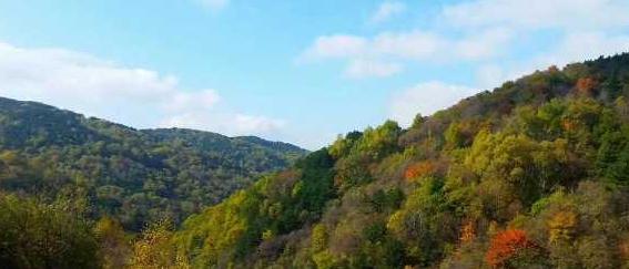 黃龍山秋景