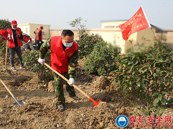 修剪除雜增顏值、樹木移植搬新家——全國第44個植樹節(jié)來臨這個礦這樣做